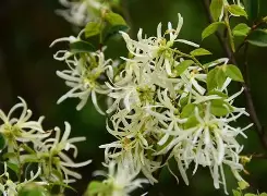 开云体育入口-☆Z縃?▍僕k迗碶瘀%05v蒀?覙5?邫┺ｌ襩2蝡rsa鄮A刡z轍?桼?蔟?廹U瓩銩?!莂t!纬?叮騵的简单介绍